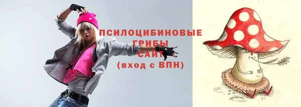 мдма Заводоуковск