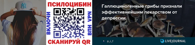 где купить   маркетплейс наркотические препараты  Галлюциногенные грибы Psilocybe  Новочеркасск 