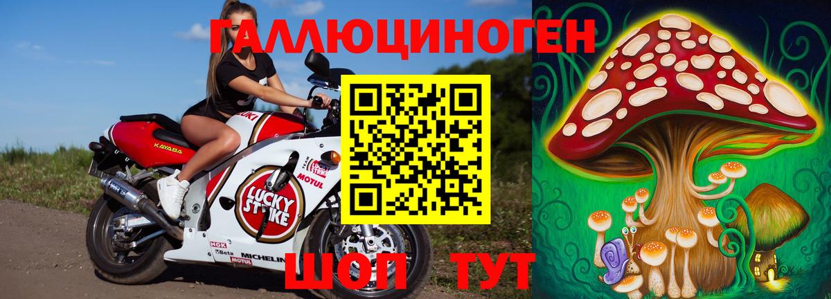 Псилоцибиновые грибы Psilocybine cubensis Новочеркасск